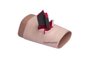 Муляж проникающего ранения конечности EasyPractice